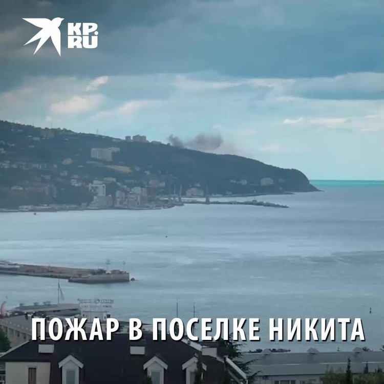 Крым правда. Крым видео. Ялта Никита план посёлка. Ялта видео. +79787811194 Фёдоров Никита Ялта.